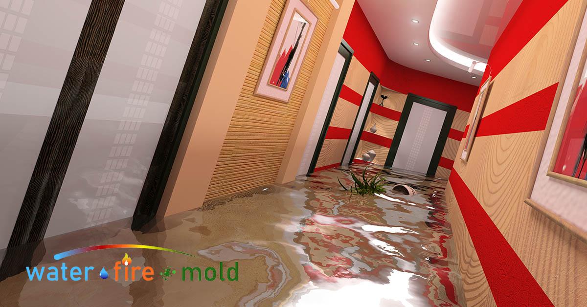  Professional Water Damage in Plano, TX