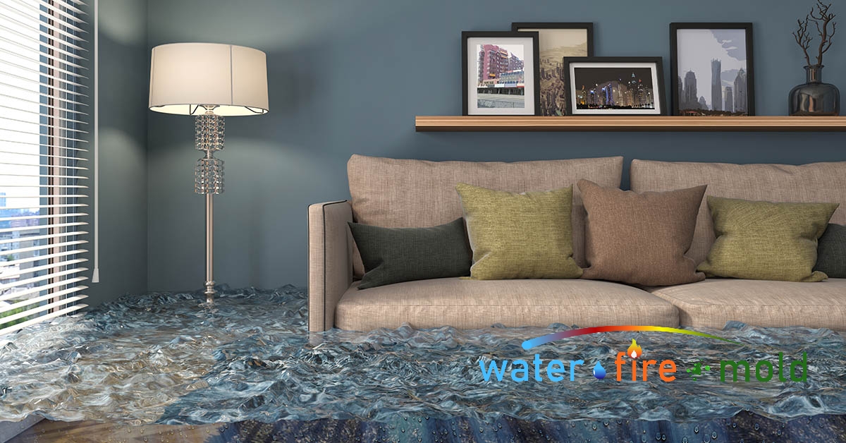   Water Damage Restoration in Crab Orchard, TN