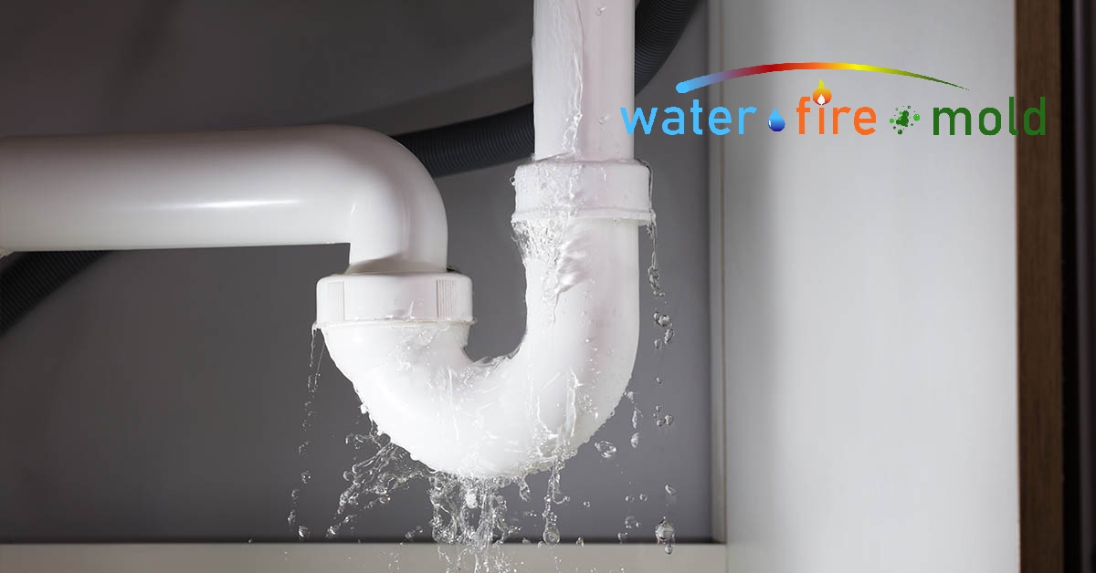   Water Damage Mitigation in Wartburg, TN