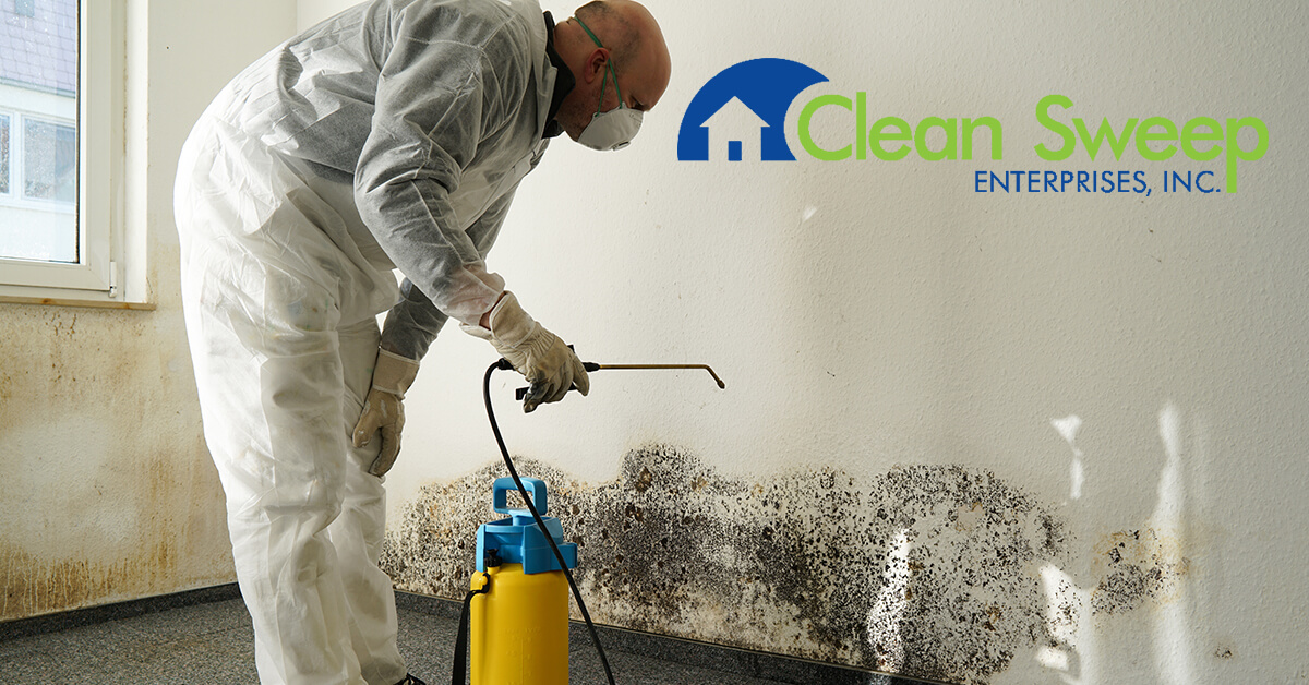   Mold Removal in Gamber, MD