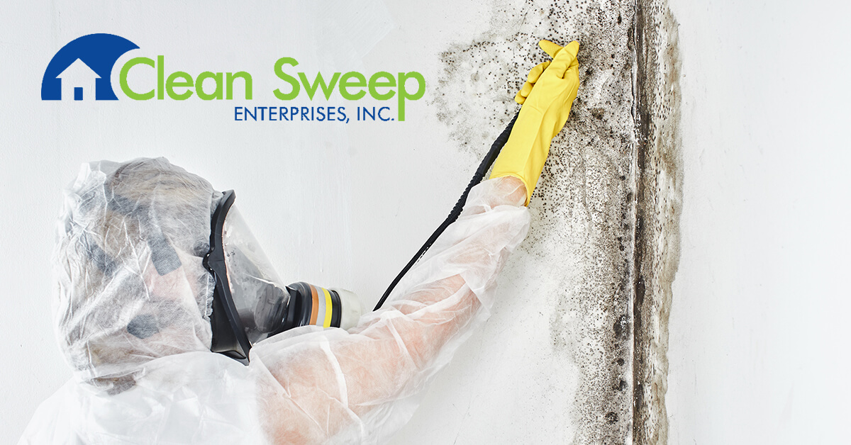   Mold Removal in New Market, MD