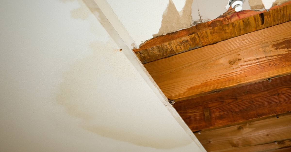  Professional Water Damage Cleanup in Baltimore, MD