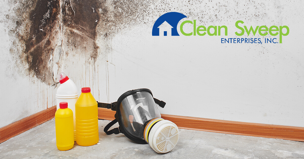   Mold Removal in Buckeystown, MD