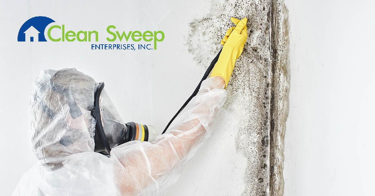  Certified Mold Removal in Woodlawn, MD