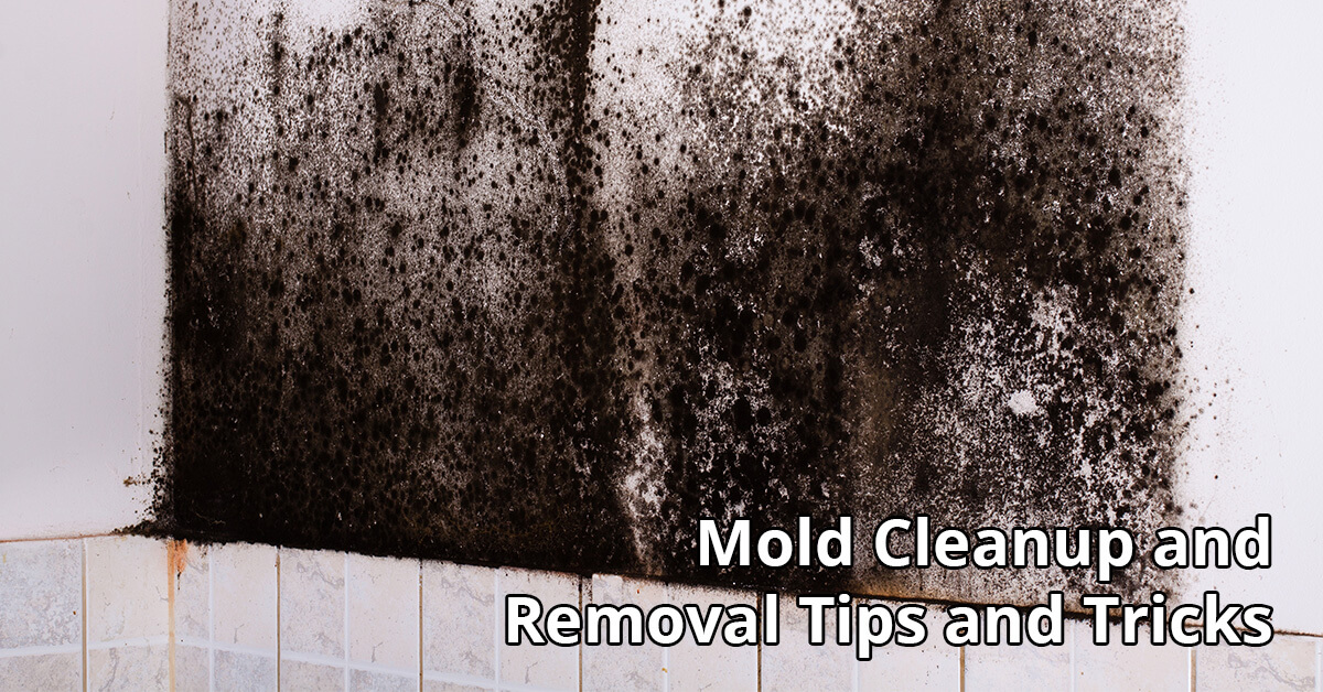   Mold Abatement Tips in Columbia, MD