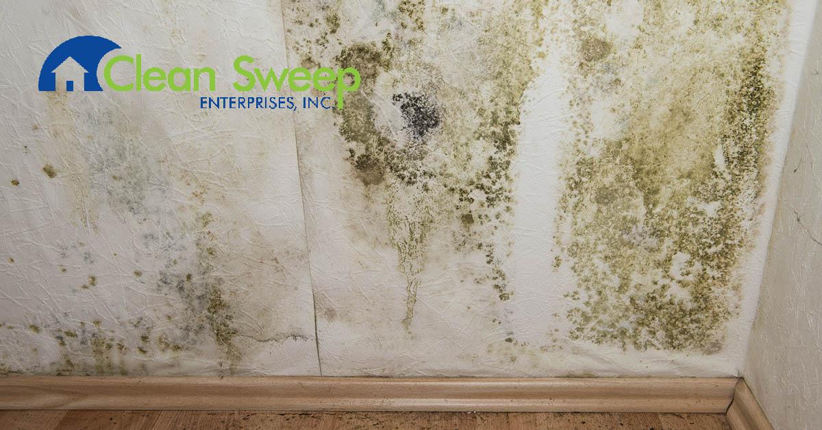  Certified Mold Mitigation in Randallstown, MD