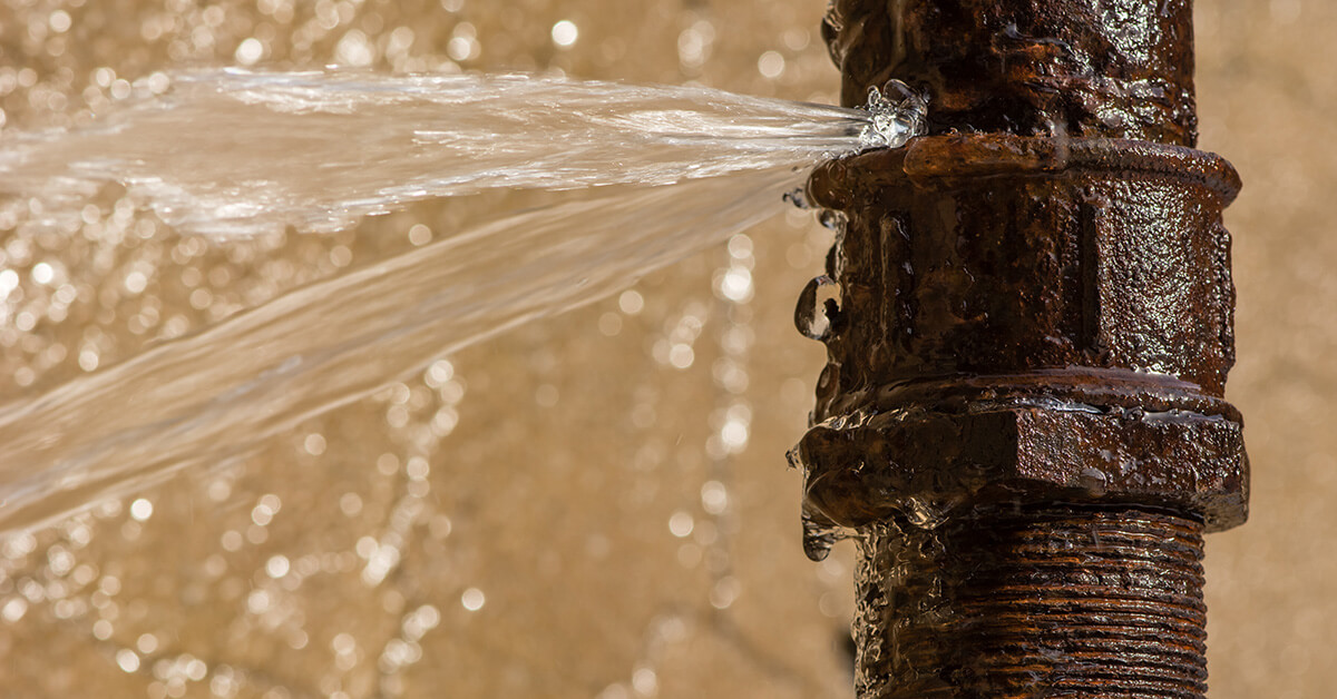  Professional Water Damage Repair in Dundalk, MD