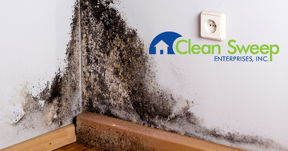   Mold Removal in Glen Burnie, MD