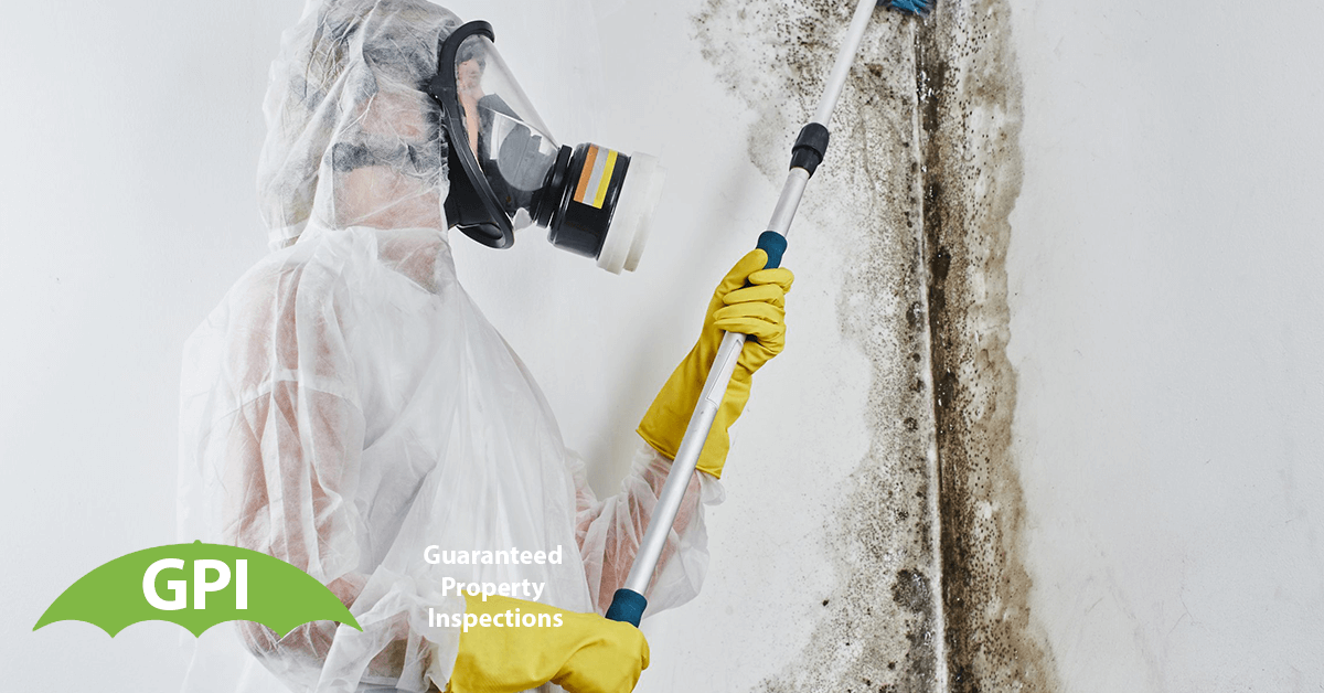   Mold Inspection in Yorba Linda, CA