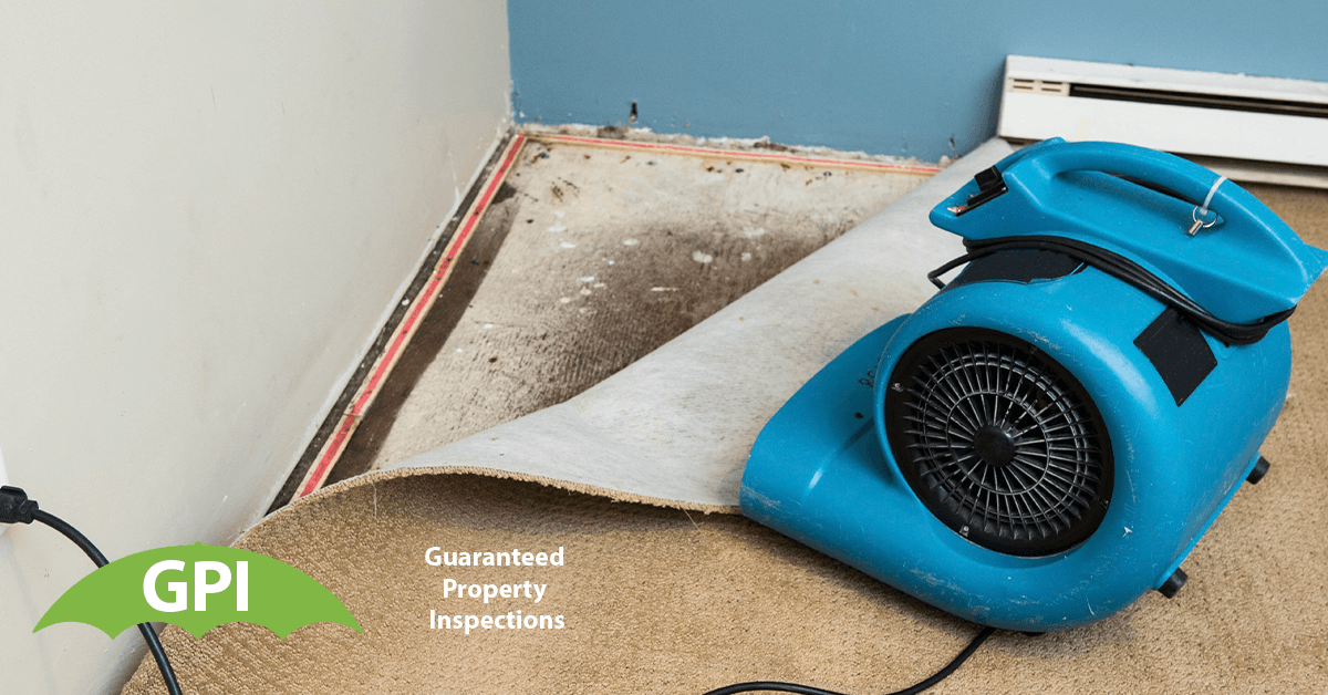   Environmental Testing in Yorba Linda, CA