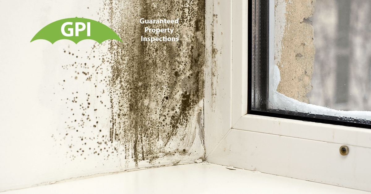   Mold Inspection in Yorba Linda, CA