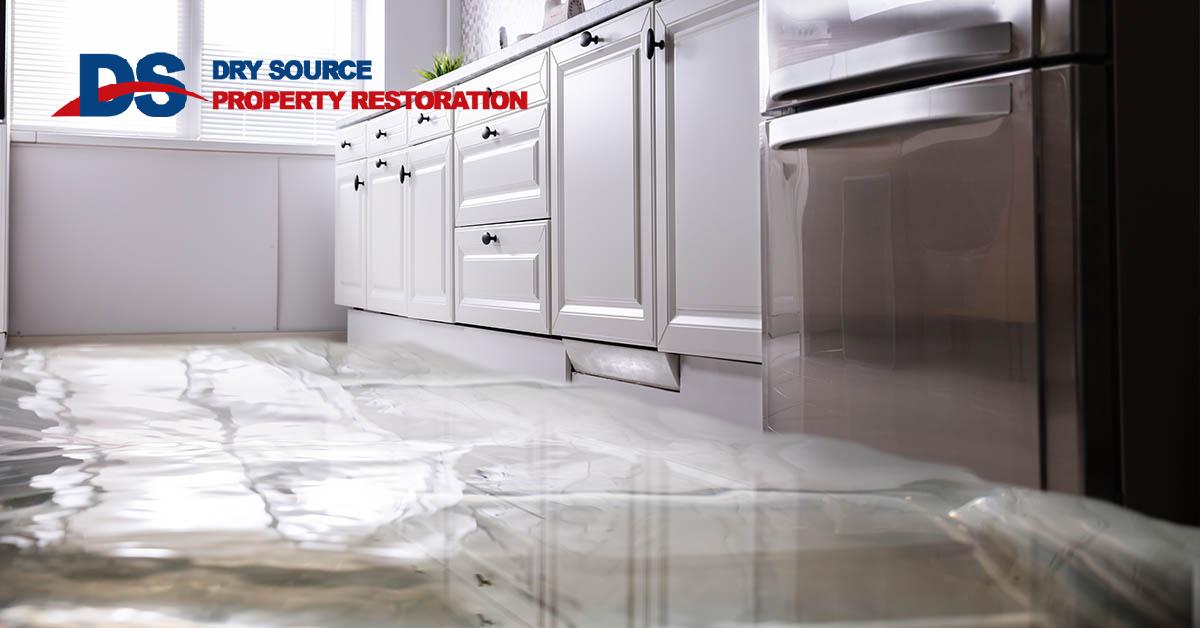  Certified Water Damage Remediation in Berry, WI