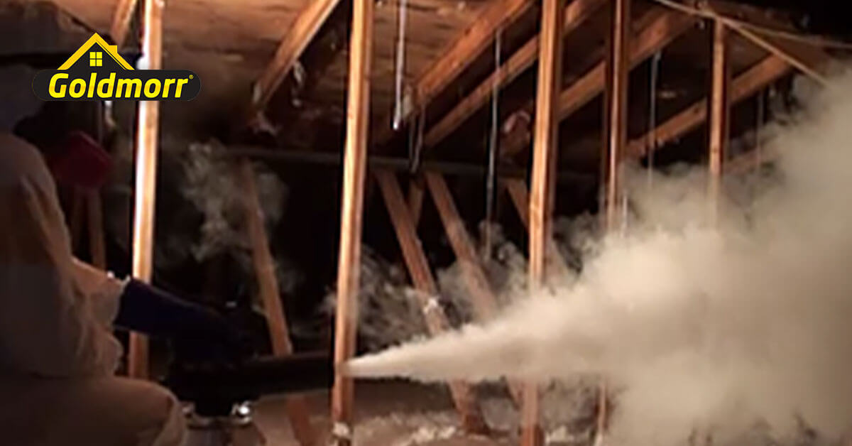  IICRC Certified Mold Removal System in Los Angeles, CA