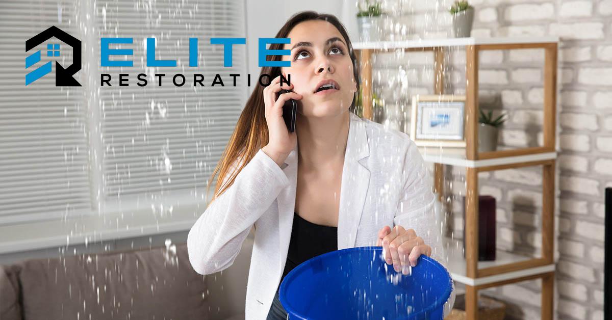  Professional Water Cleanup in Elkton, OR