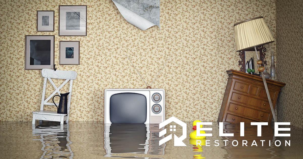  Certified Flooded Basement Cleanup in Winston, OR