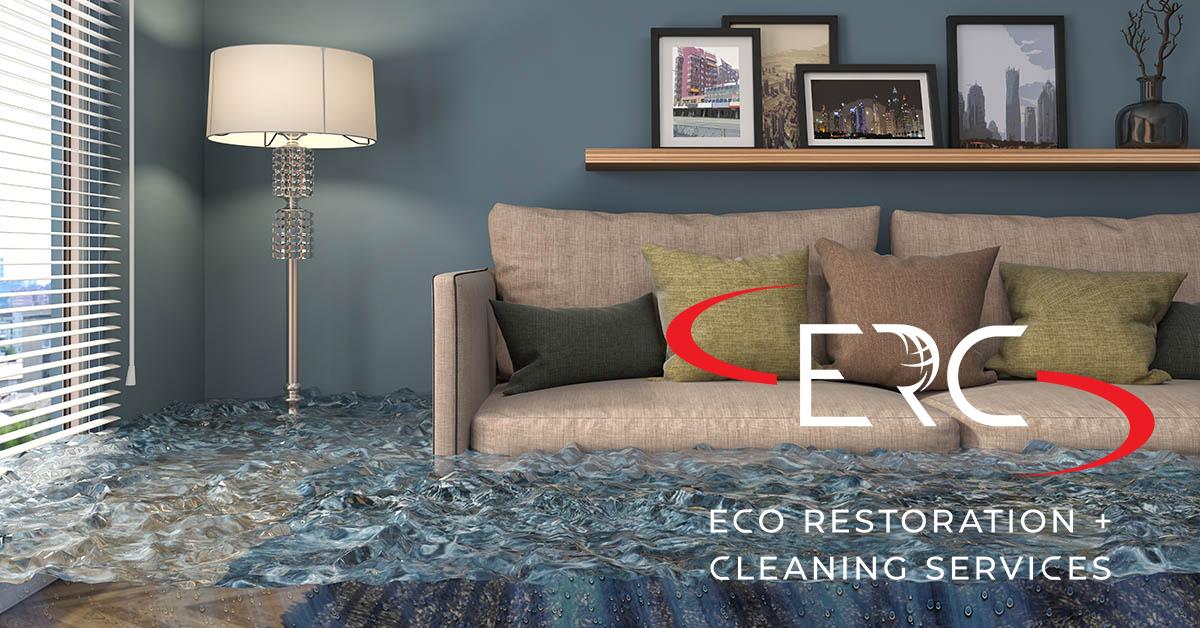 Top Rated Full-Service Water Damage Cleanup in Denver, CO