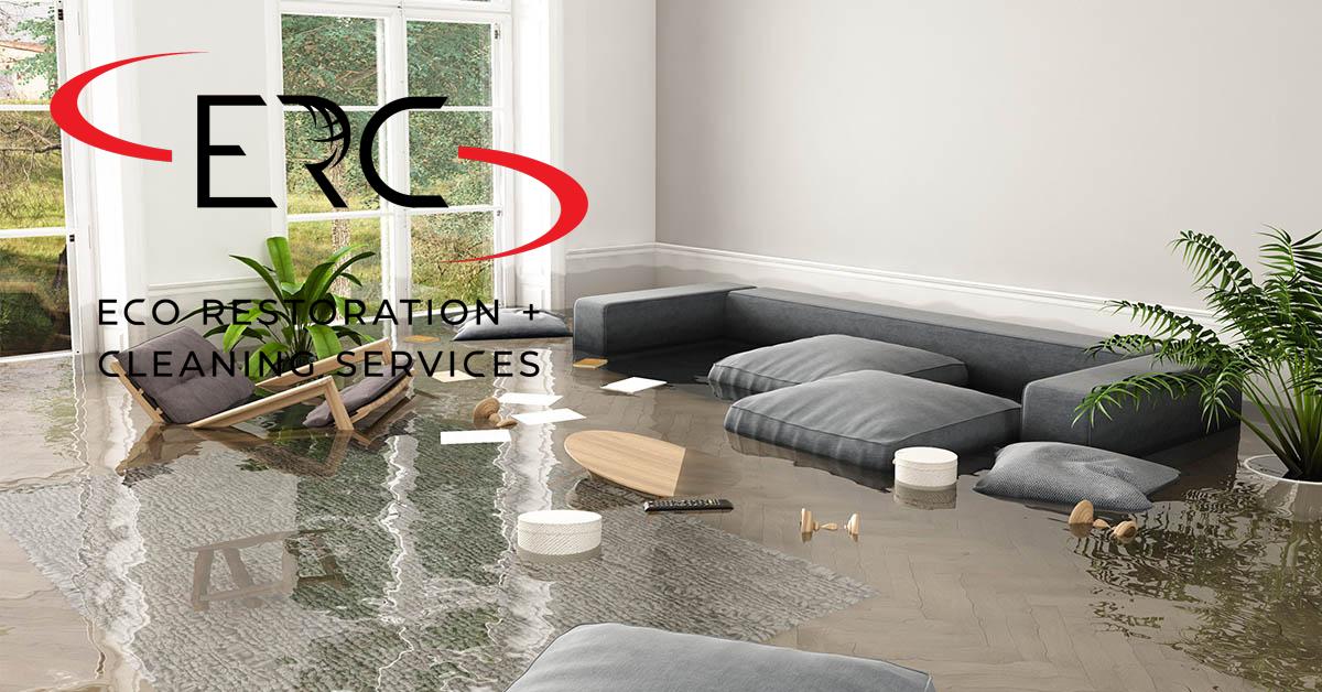Top Rated Full-Service Water Damage Cleanup in Glendale, CO