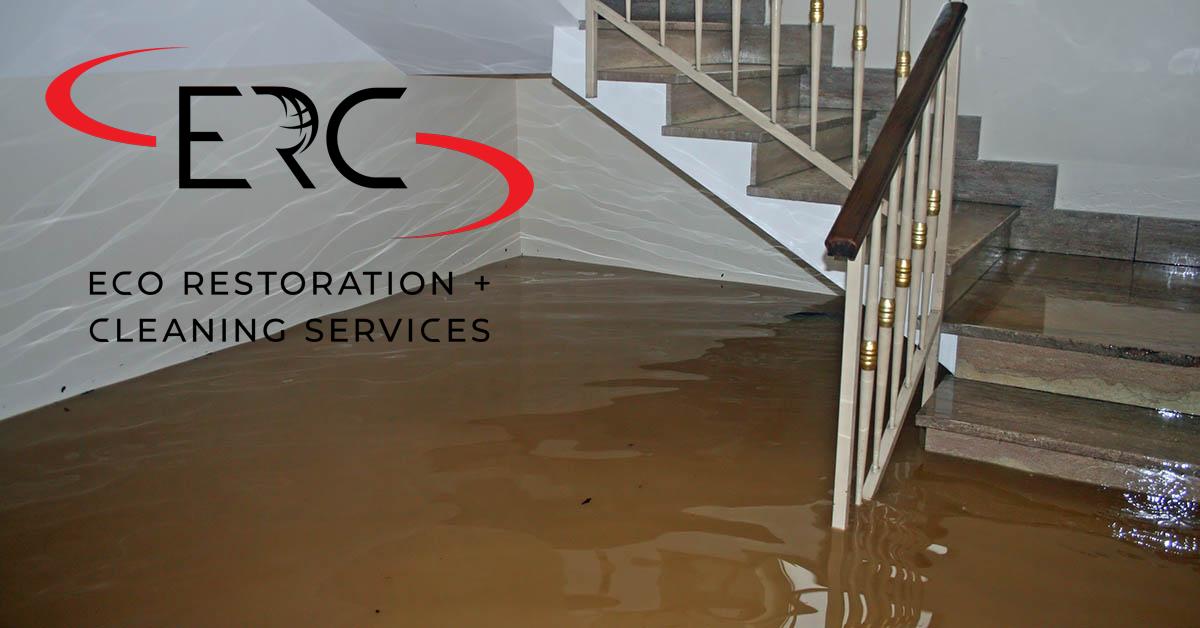 Top Rated Full-Service Water Damage Mitigation in Glendale, CO