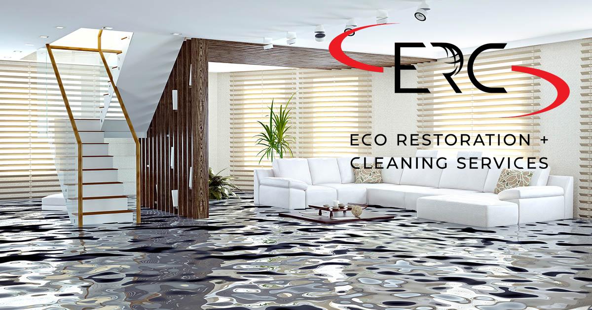 Top Rated Full-Service Water Damage Remediation in Denver, CO