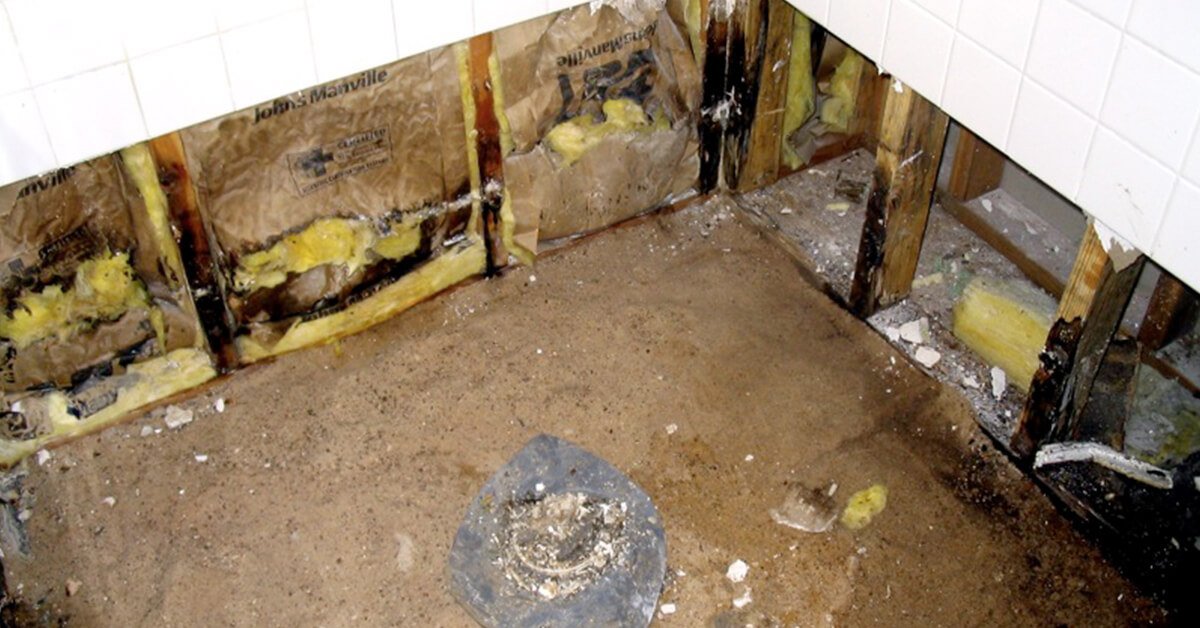  Professional Mold Abatement in Glendale, CO