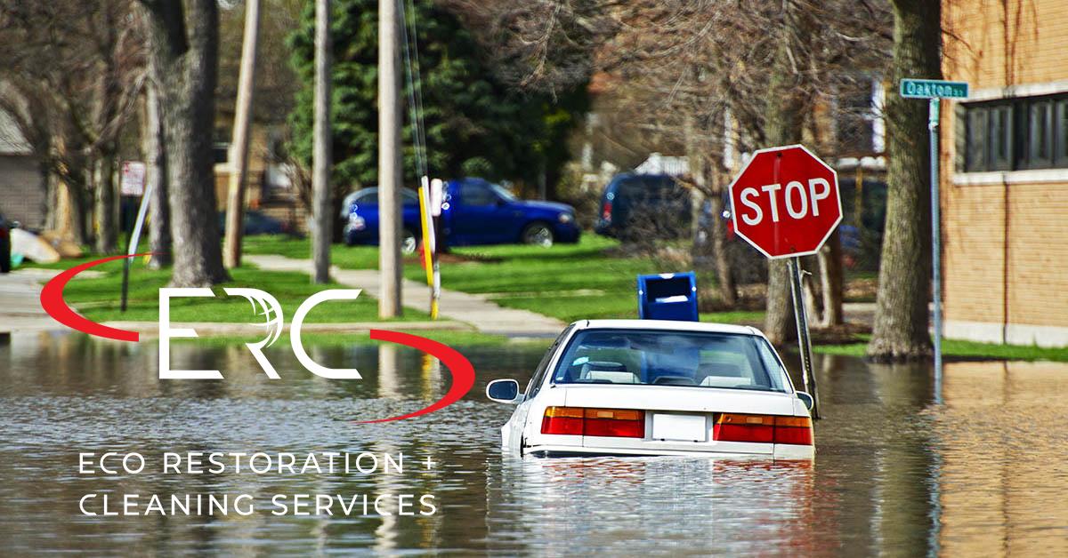 Top Rated Full-Service Water Damage Cleanup in Glendale, CO