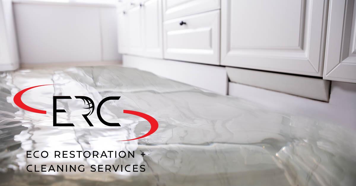 Top Rated Full-Service Water Damage Cleanup in Westminster, CO