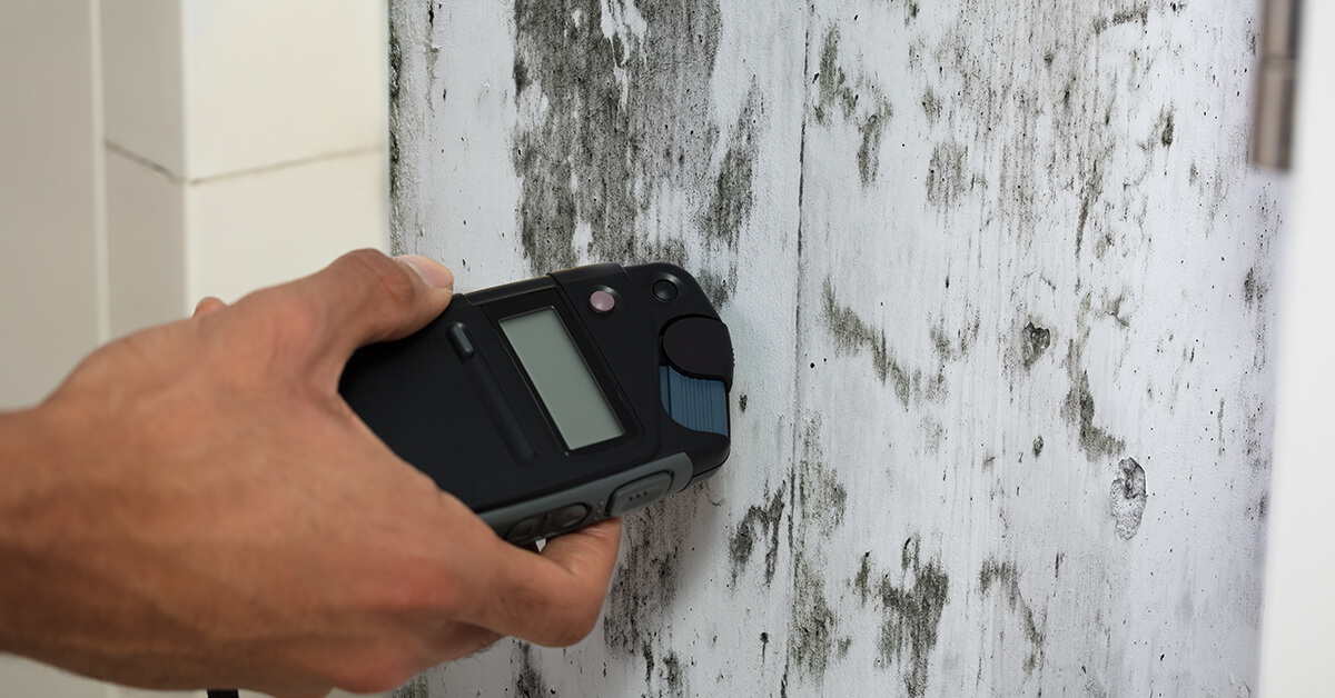  Certified Mold Removal in Arvada, CO