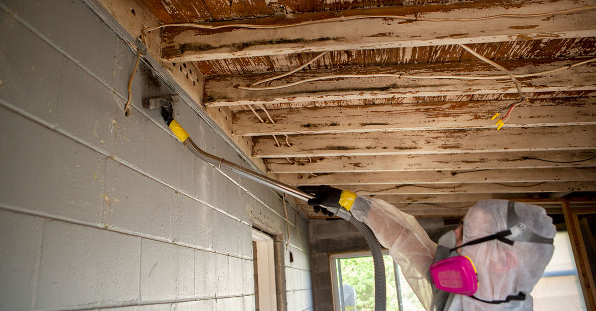  Professional Mold Abatement in Auburndale, FL