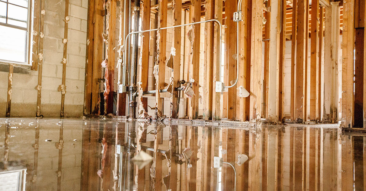 Professional Water Damage Mitigation in Temple Terrace, FL
