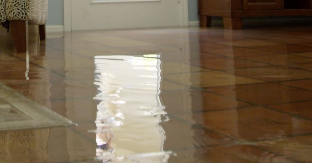 Professional Water Damage Cleanup in Town N Country, FL