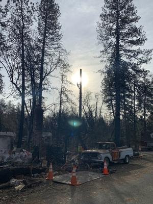 Commercial Tree Services