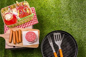 HBA Summer Picnics